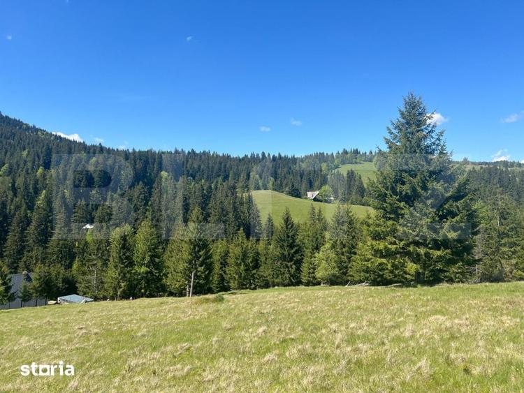 Teren de 25209 mp, în Tiha Bârgăului