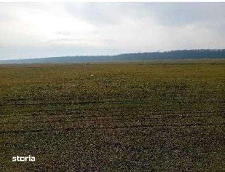 Teren de 635 mp, în Hârsești