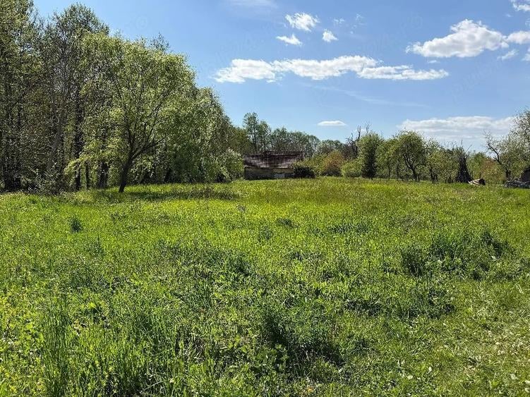 Teren de 2200 mp, în Căpruța