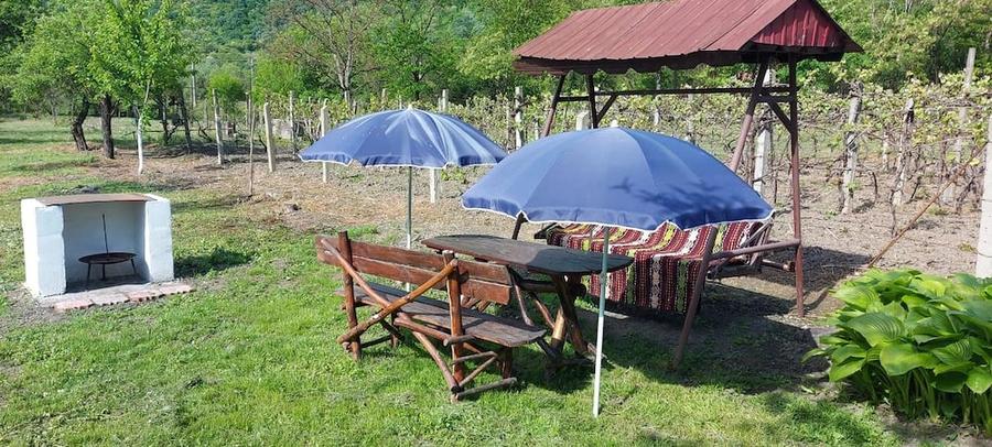Casă cu Teren 1400 Mp în Mehadia