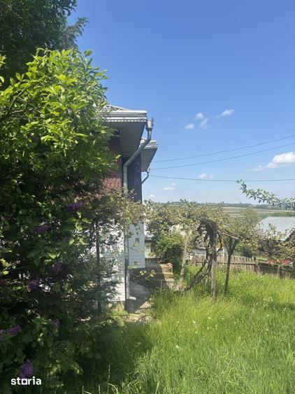 Casa de vanzare cu doua cur?i, livada ?i anexe 2600 mp - 7
