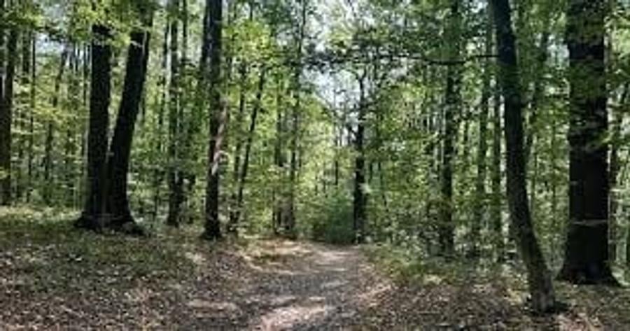 Teren extravilan de 7100 mp, în Bârnova