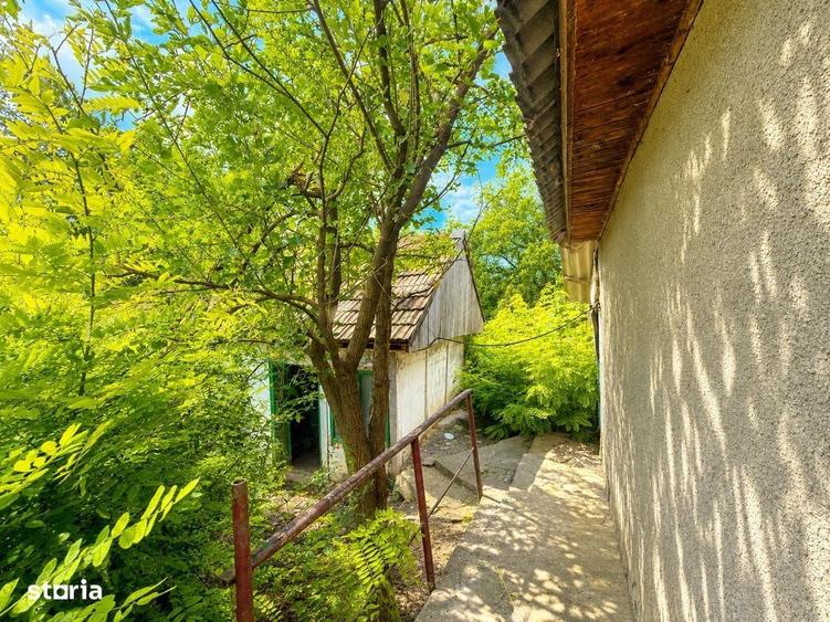 Casa + teren 2000 mp intravilan, ASFALT Malaiesti Iasi - 2