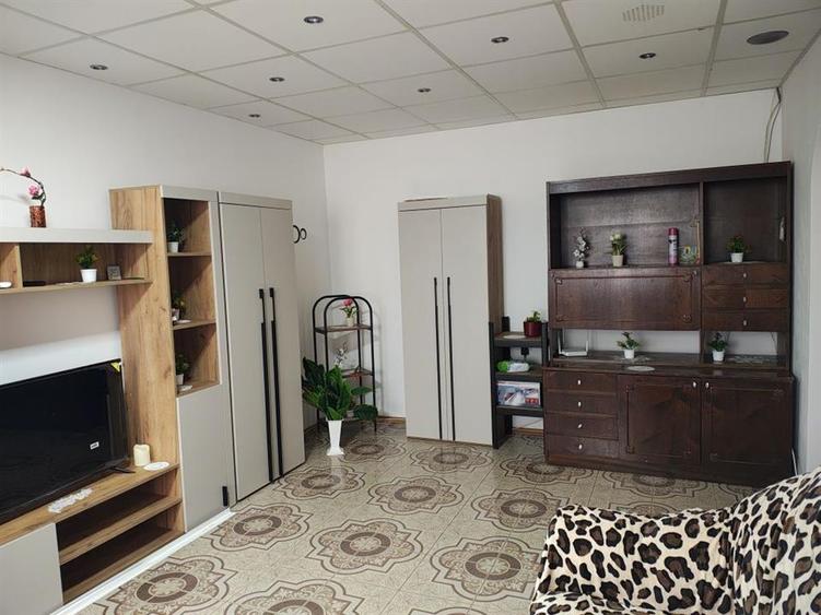 Apartament cu 2 camere decomandat, mobilat în Alexandru cel Bun