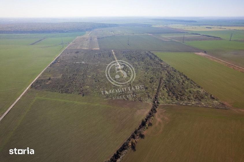 Teren de 1118 mp, în Snagov