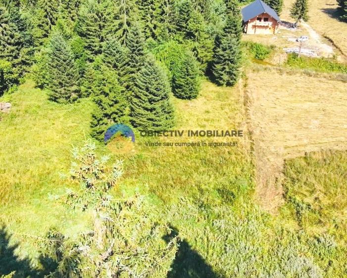 Teren intravilan de 3800 mp, în Tarcău