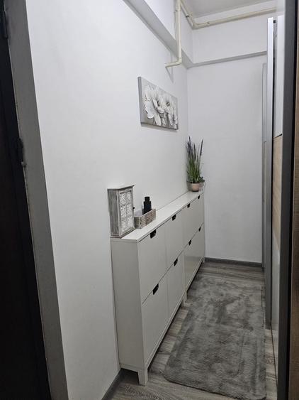 Bragadiru Cartier latin 2 camere - 4