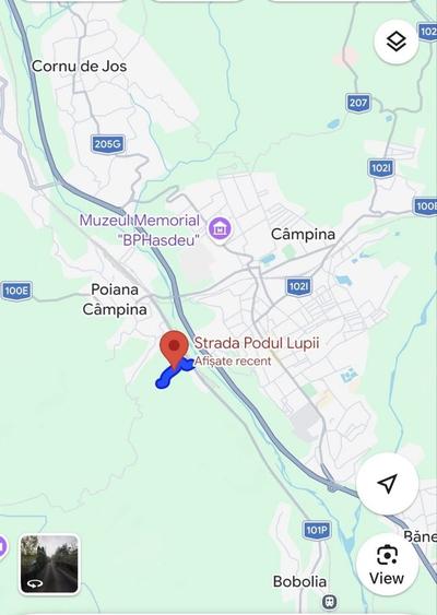 Spațiu comercial, în Pietrișu