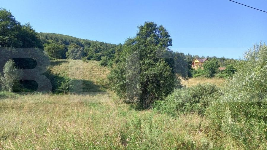 OCAZIE !!! Blitz ofera spre vanzare teren intravilan Gilau, 5400 mp, front 30 ml - 1