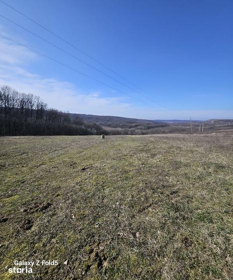 Teren de 10600 mp, în Hidiș