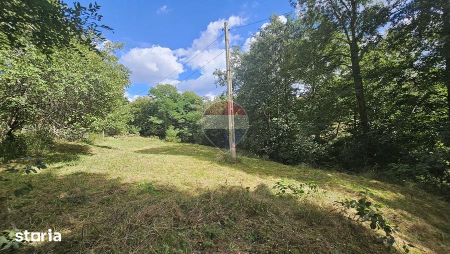 Casă cu 4 camere cu Teren 4840 Mp în Bran