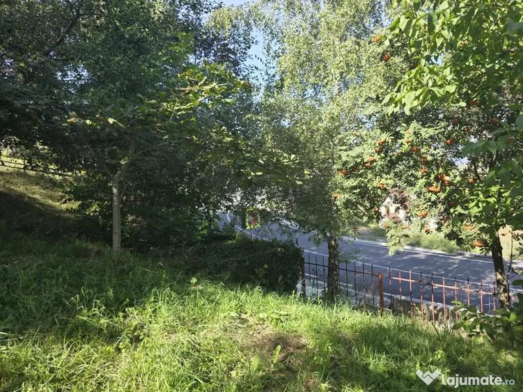 Casa de vacan?a in Fundata, Bra?ov 3.300 mp teren, acces direct din DN73 - 14