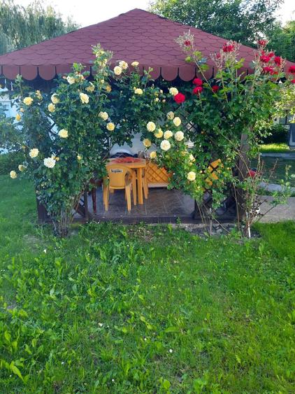 Casa in com Brebu - zona pitoreasca cu aer curat in PH, la 100km de Bucuresti - 3