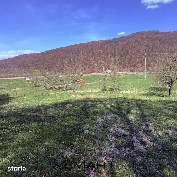 Teren de 7300 mp, în Tărlungeni