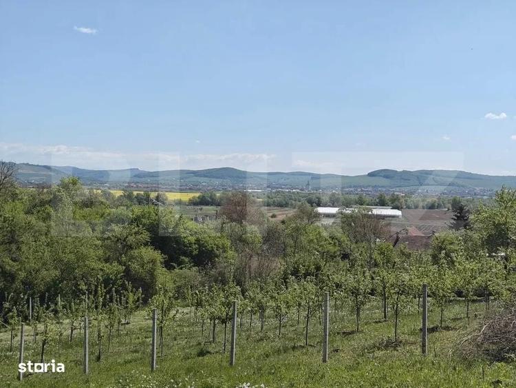 Spațiu comercial, în Curteni