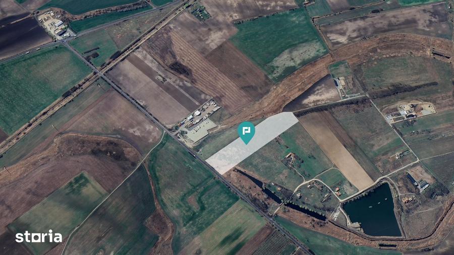 Teren de 50000 mp, în Sânnicolau Mic