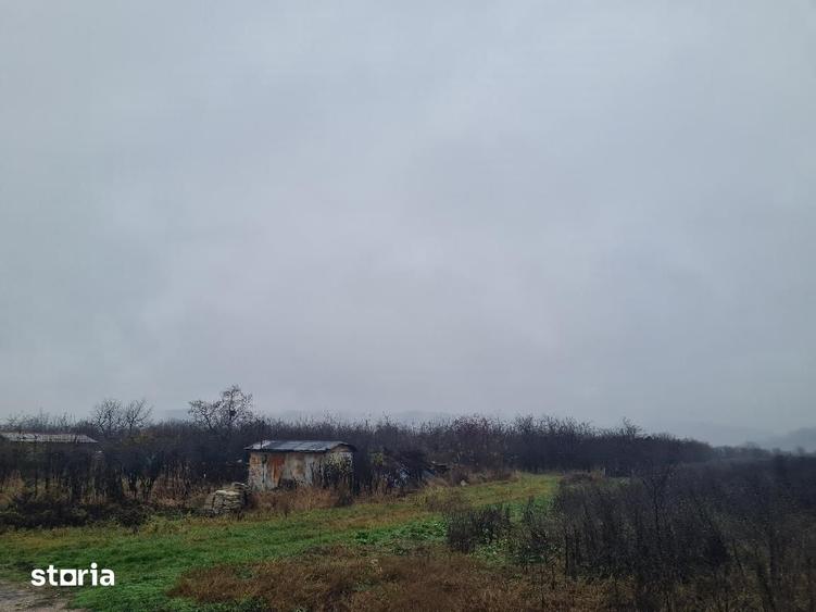 Teren de 86312 mp, în Mărăcineni