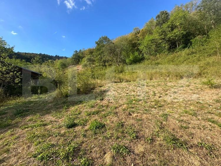Casă individuală cu 3 camere cu Teren 10900 Mp în Căinelu de Sus