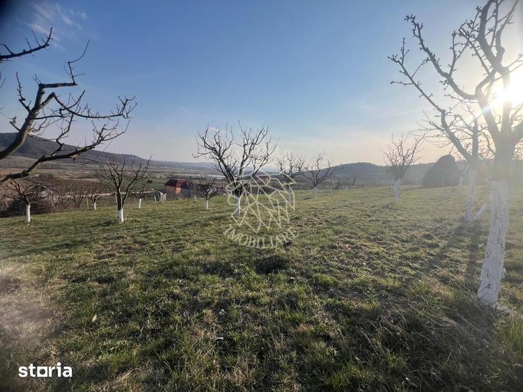 Teren de 3100 mp, în Nimigea