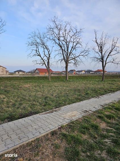 Teren de 21600 mp, în Gepiu
