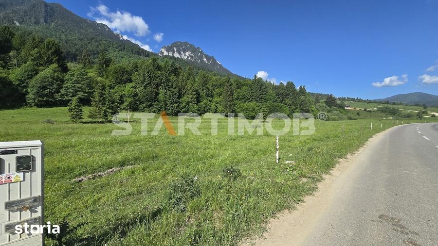 Teren de 7600 mp, în Plaiul Foii