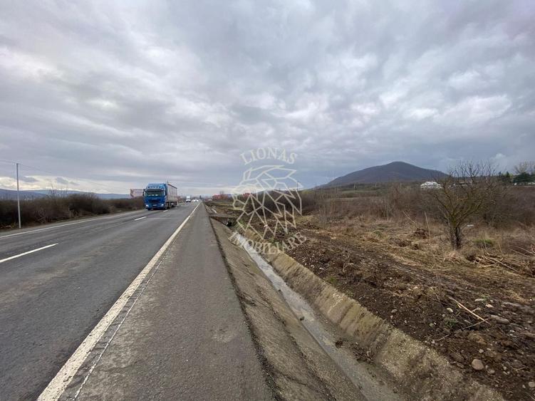 Teren Construcții intravilan de 12719 mp, în Crainimăt