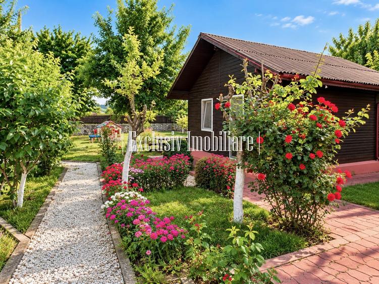 Casă cu 4 camere cu Teren 3000 Mp în Adamclisi