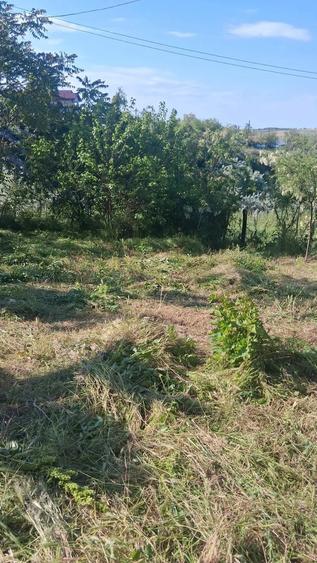 Casă cu Teren 1470 Mp în Fântânele
