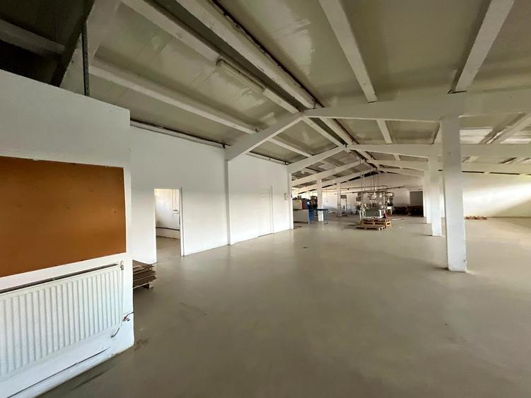 Spațiu industrial, de 4,175 mp, în Cefa