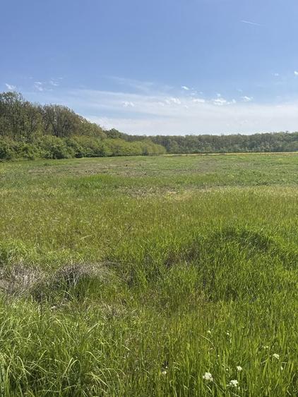 Teren de 13500 mp, în Ciofliceni