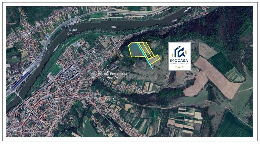 Teren agricol extravilan de 81400 mp, în Nord-Est