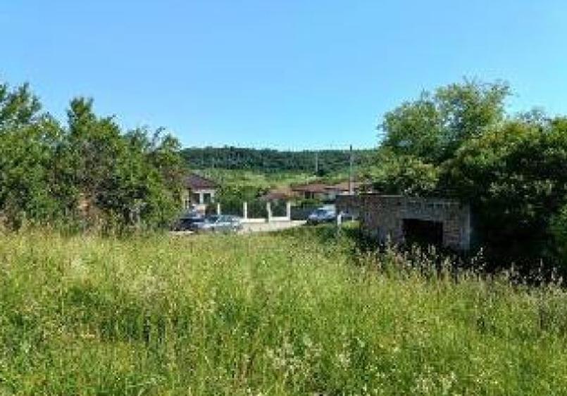 Teren agricol extravilan de 8008 mp, în Hășdat