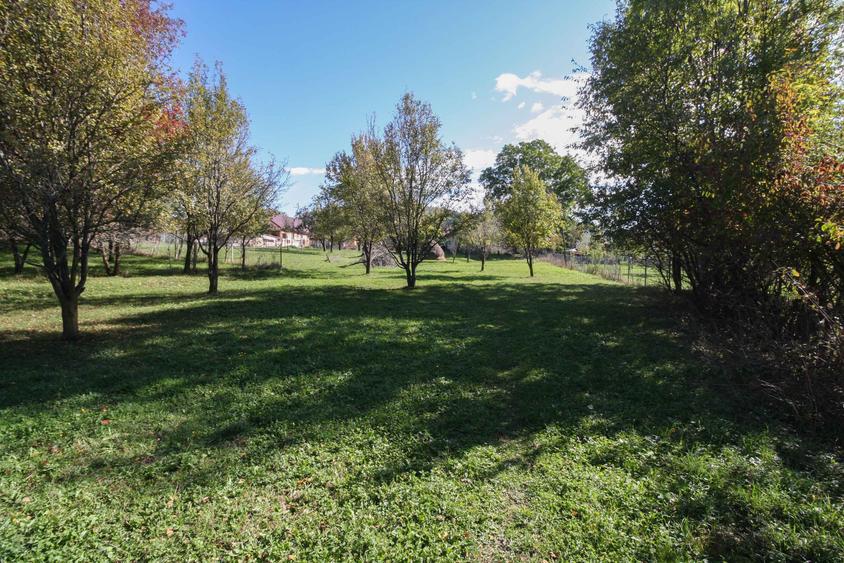 Teren agricol intravilan de 3852 mp, în Poiana