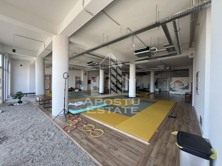 Spațiu comercial, de 314 mp, în Iosefin