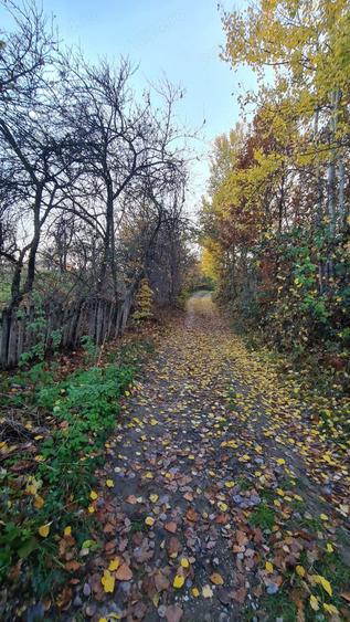 Teren de 8800 mp, în Băiculești