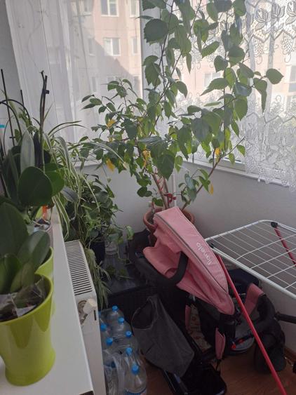 Apartament cu 2 camere semidecomandat în Viziru 1