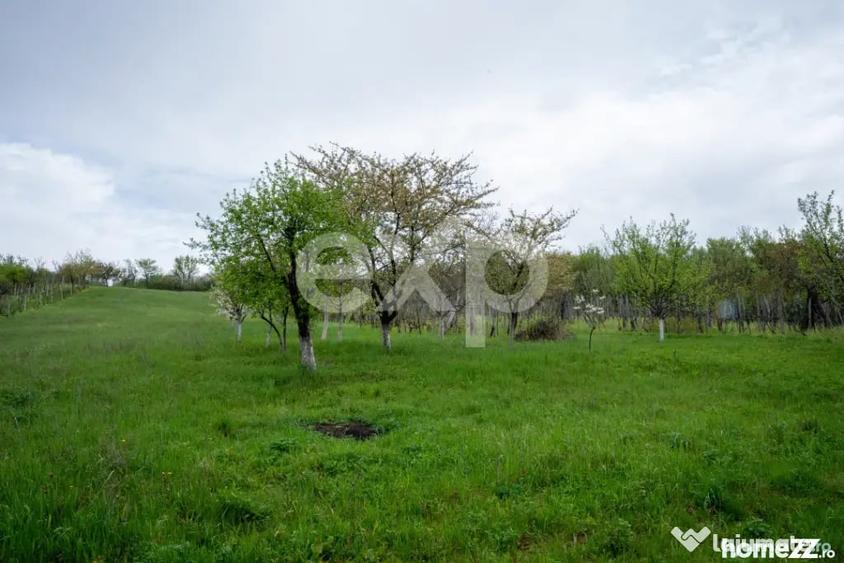Casă cu 4 camere cu Teren 6436 Mp în Central