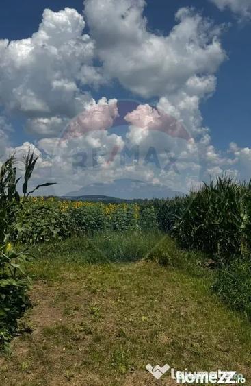 Teren 6,000mp Costana / DN 178A - Costana (Suceava) - 1