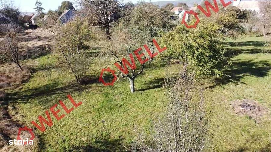 Casă cu 3 camere cu Teren 5213 Mp în Cernat