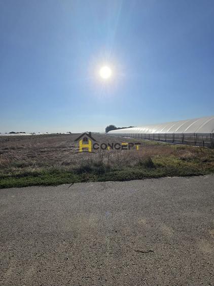 Teren Construcții intravilan de 10000 mp, în Câmpurelu