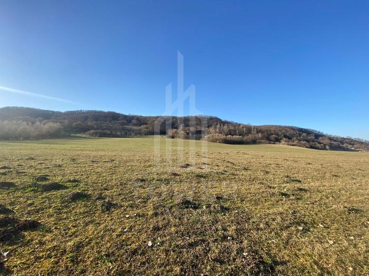 Teren agricol extravilan de 7500 mp, în Bradu