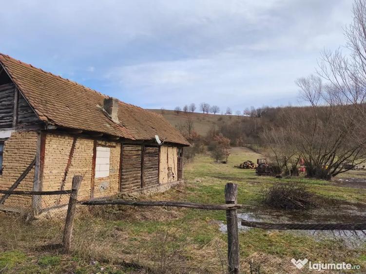 Teren de 6000 mp, în Julița