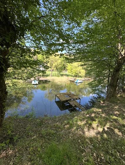 Cabana Casuta din lemn cu ponton privat lac Mujdeni - 5