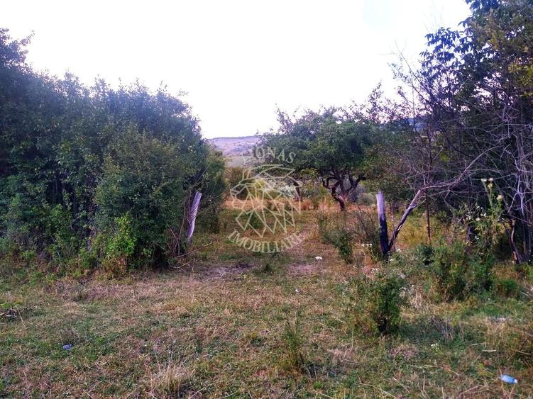 Teren agricol extravilan de 6000 mp, în Satu Nou