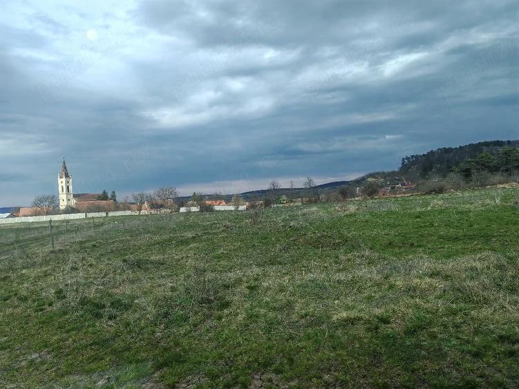 Teren de 2600 mp, în Apoldu de Sus