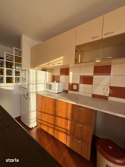 Apartament 2 camere , parcare, pet friendly, zona Florilor - 9