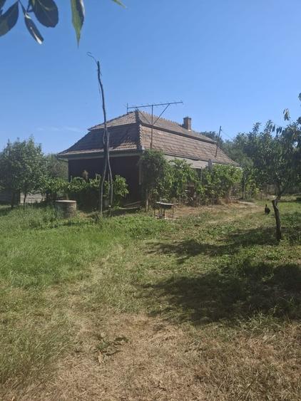 Casă cu 2 camere în Sânger
