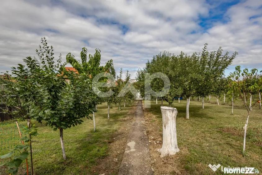 Casă cu 5 camere cu Teren 1866 Mp în Central