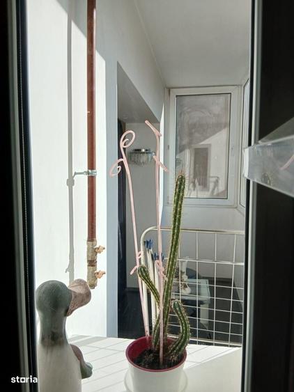 Apartament 3 camere de vanzare Gorjului - 6