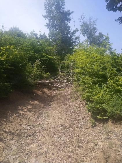 Teren de 20000 mp, în Posești
